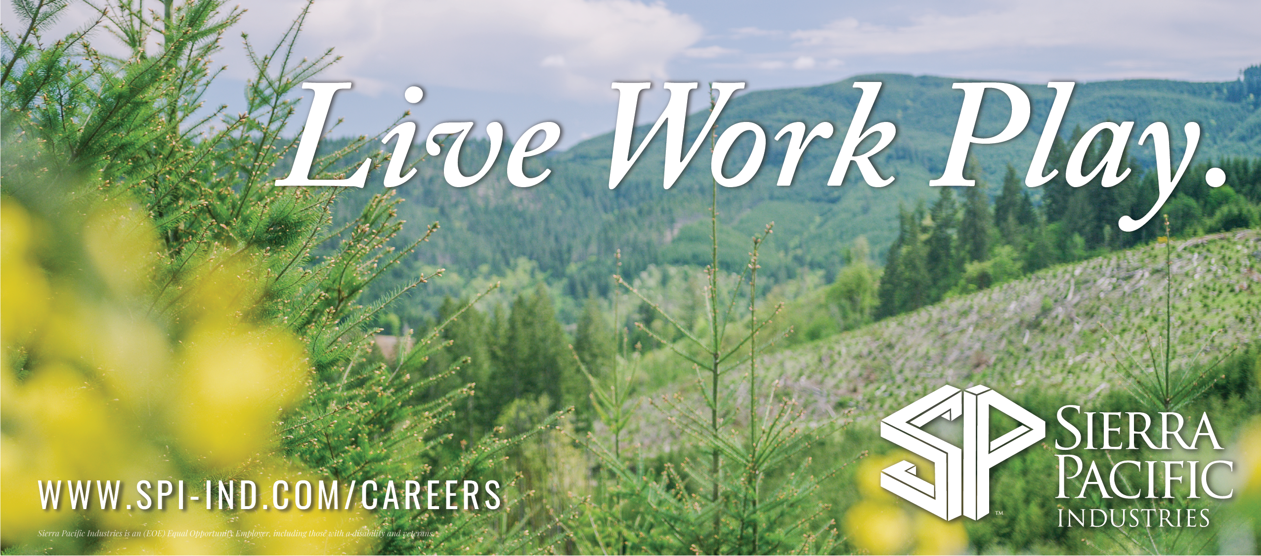 Office Coordinator