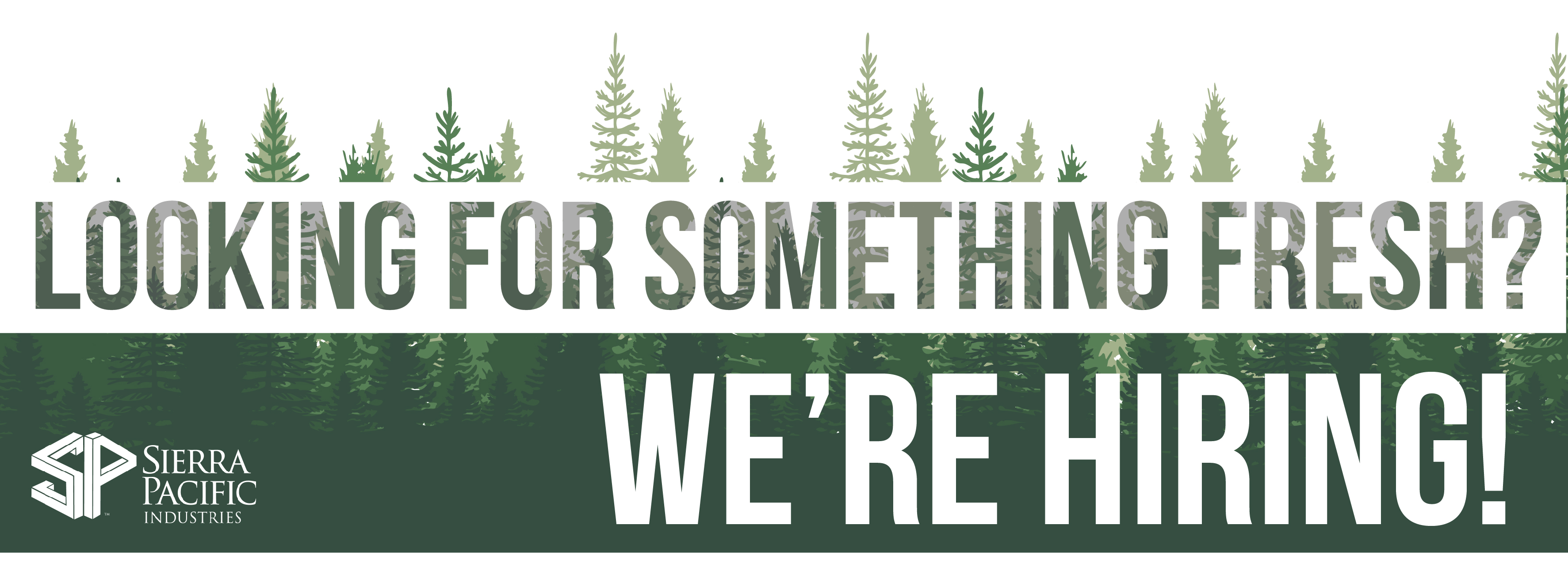 Forester - District